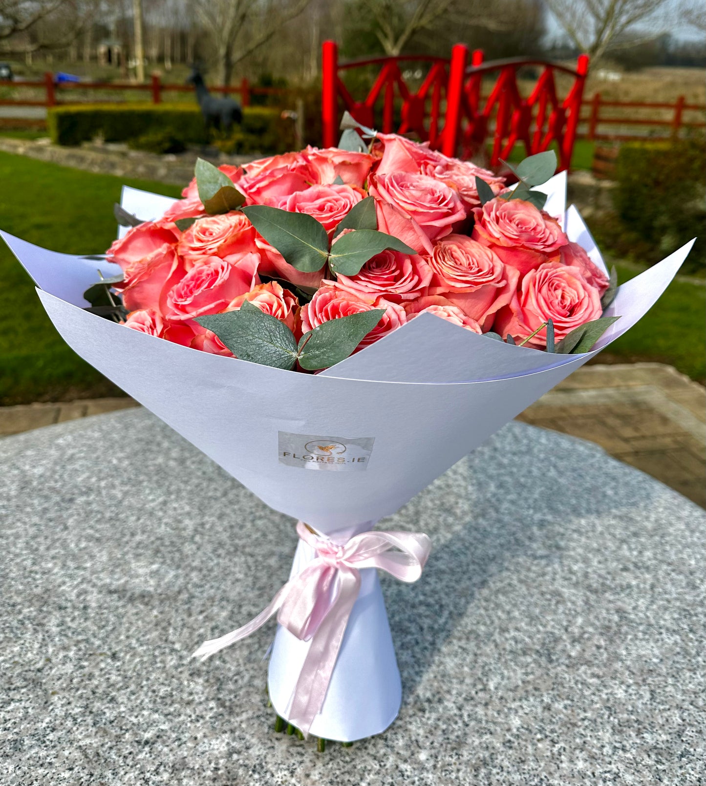 Rosas Cor-de-Rosa Doces